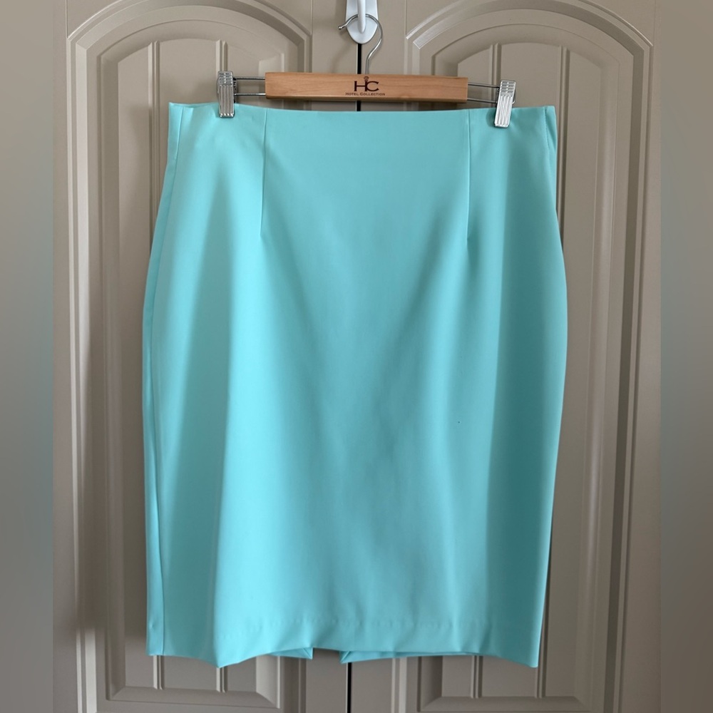 Zara Woman Robin’s Egg Blue High Waisted Pencil Skirt